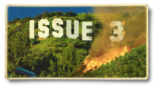 Issue Three