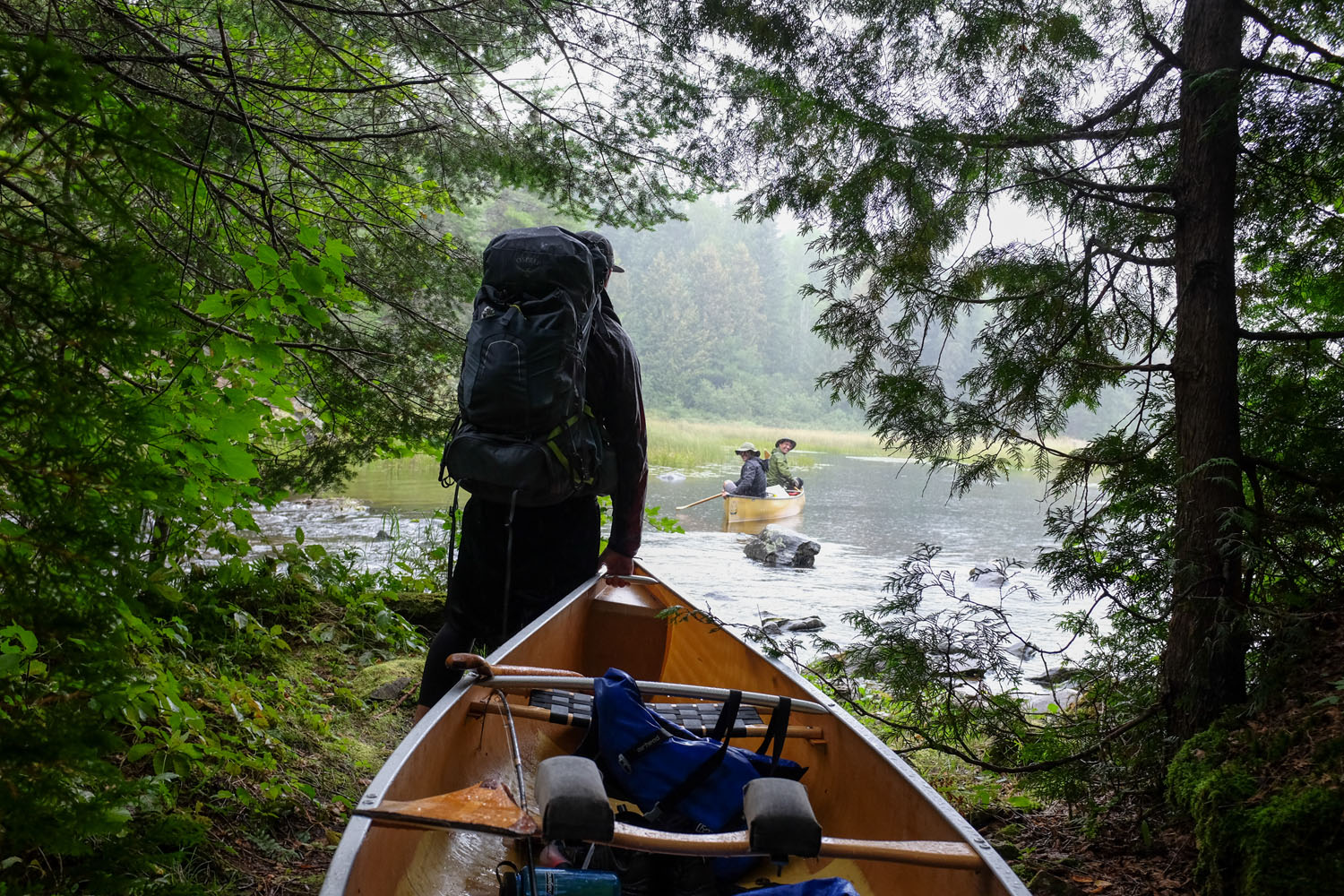 Quetico