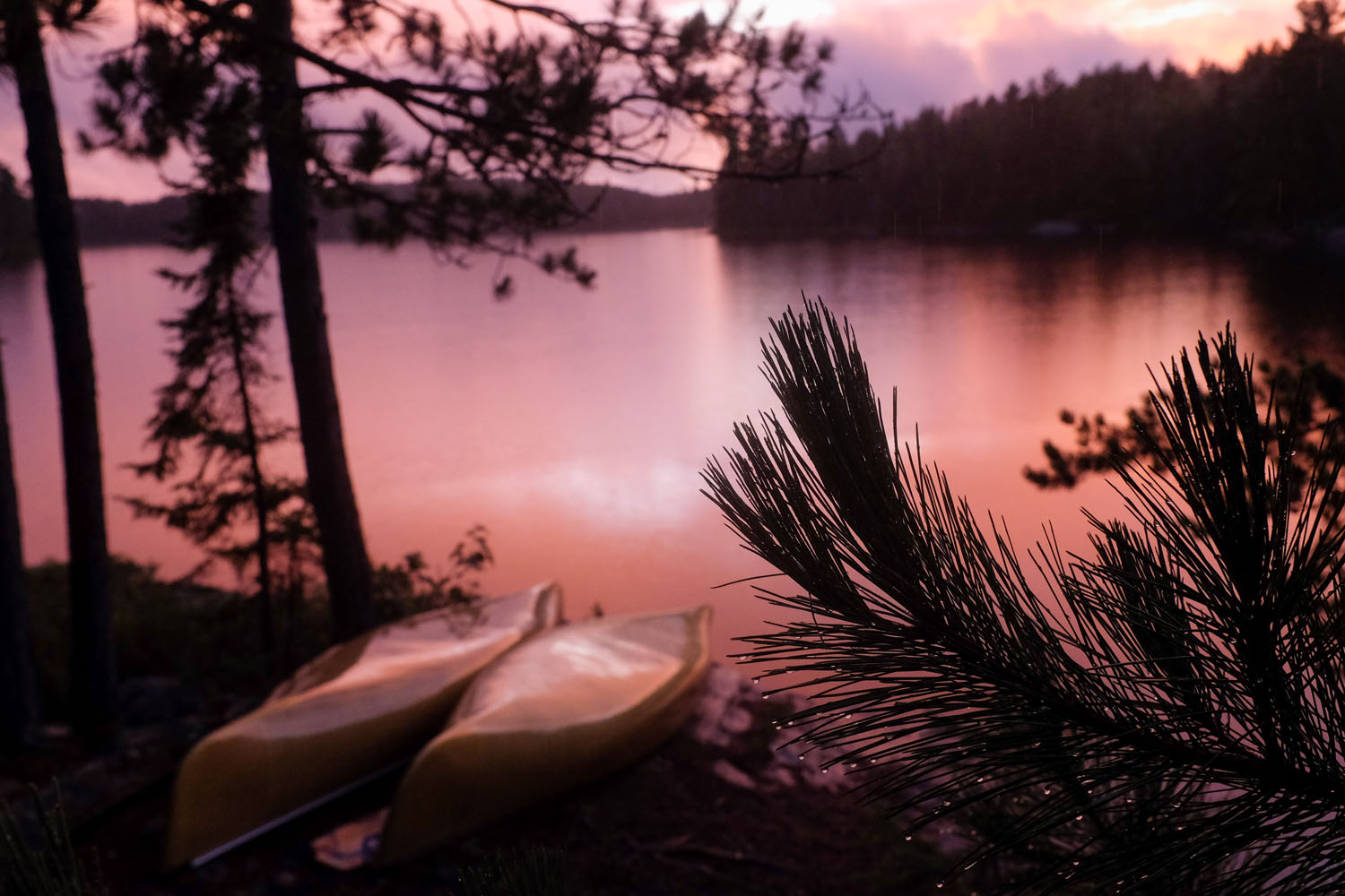 Quetico