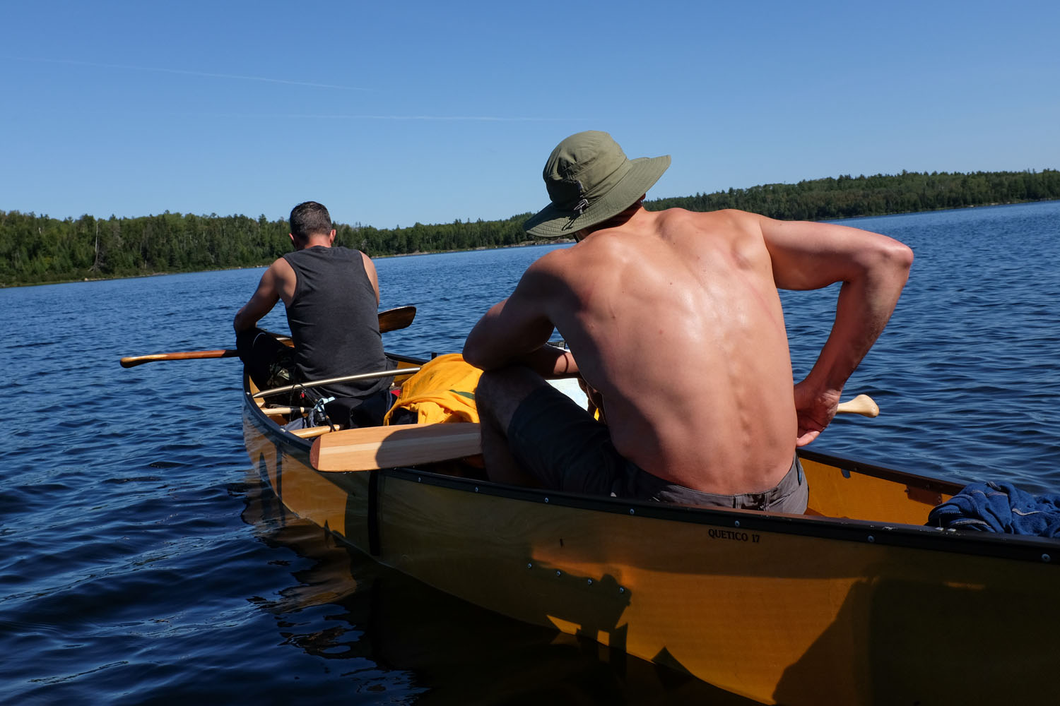 Quetico