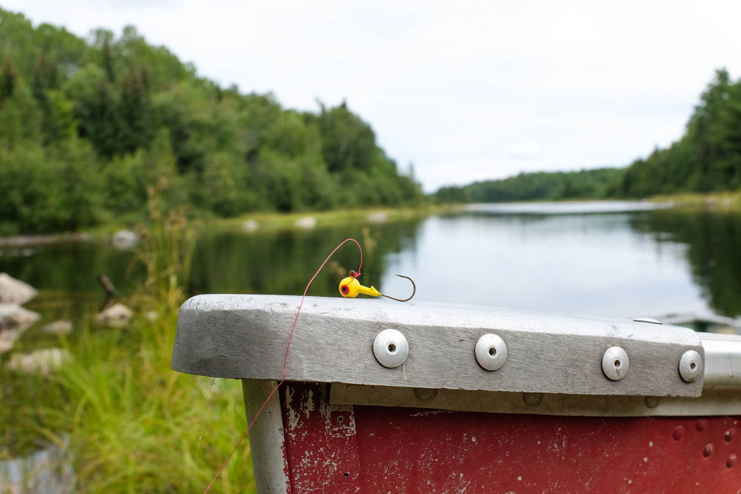 Quetico