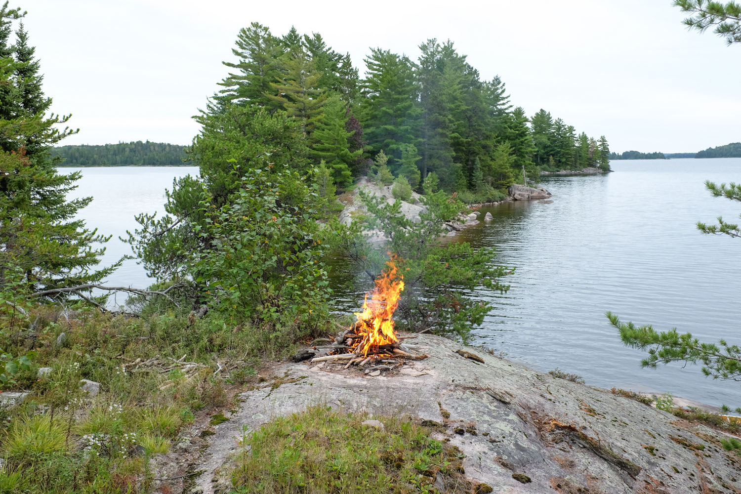 Quetico