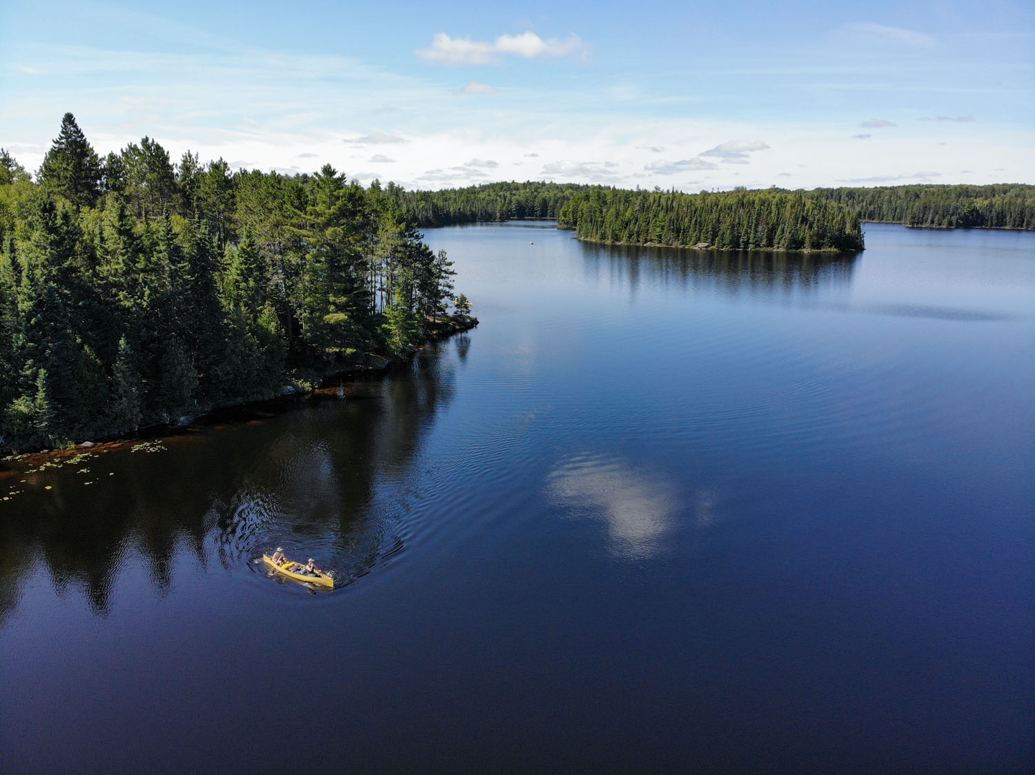 Quetico