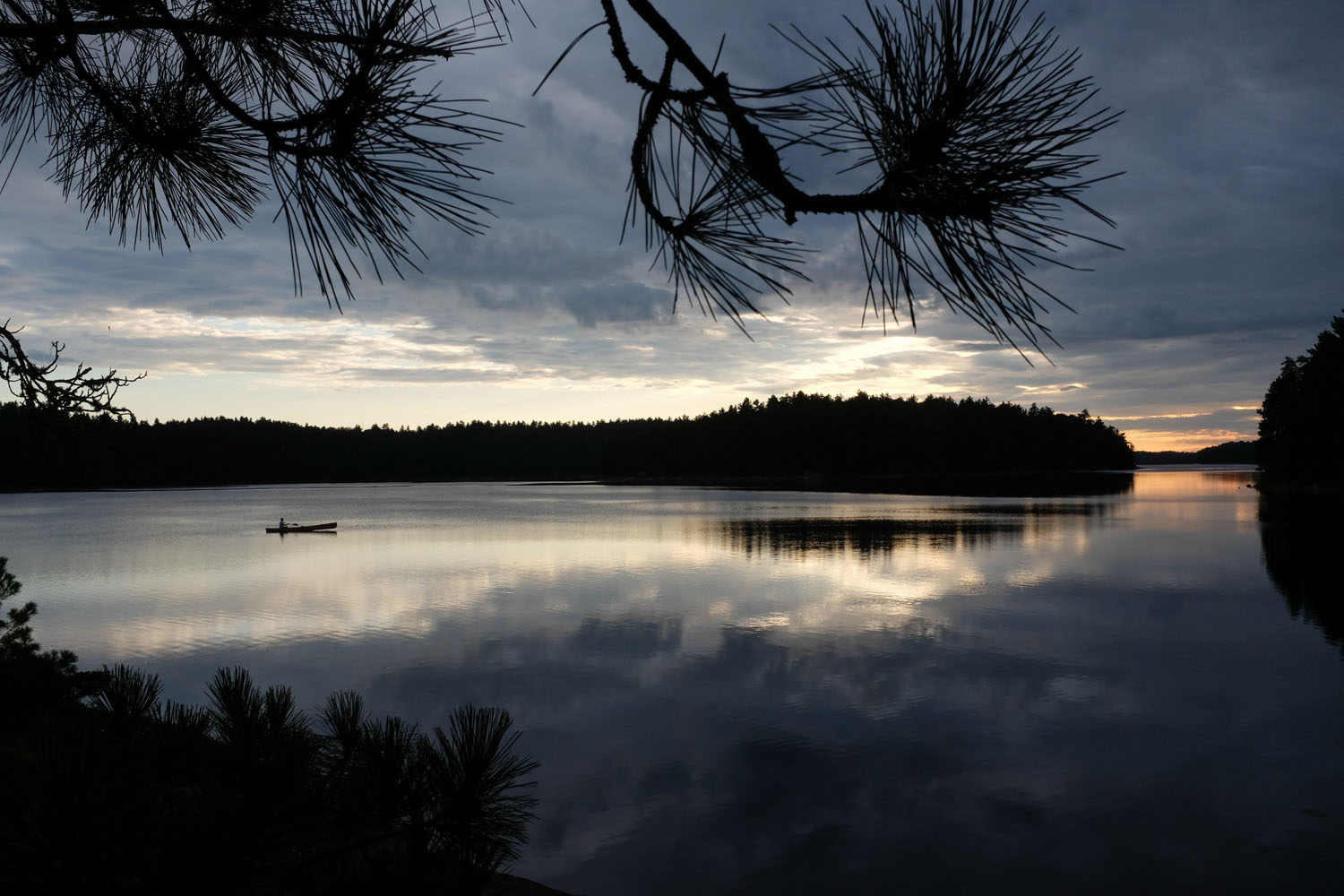 Quetico